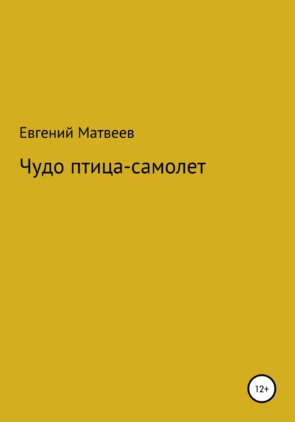 Чудо птица-самолет - Евгений Матвеев