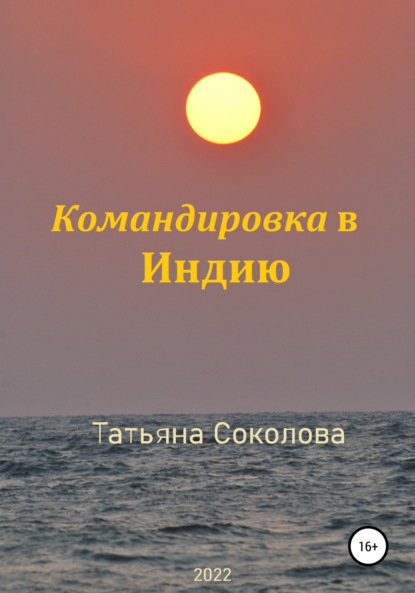 Командировка в Индию — Татьяна Николаевна Соколова