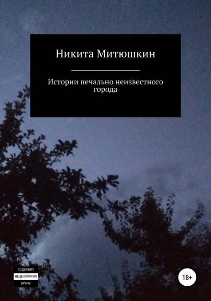 Истории печально неизвестного города — Никита Митюшкин