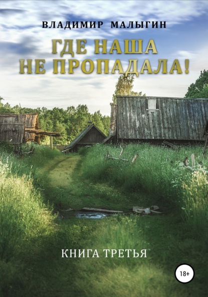 Где наша не пропадала – 3 — Владимир Владиславович Малыгин