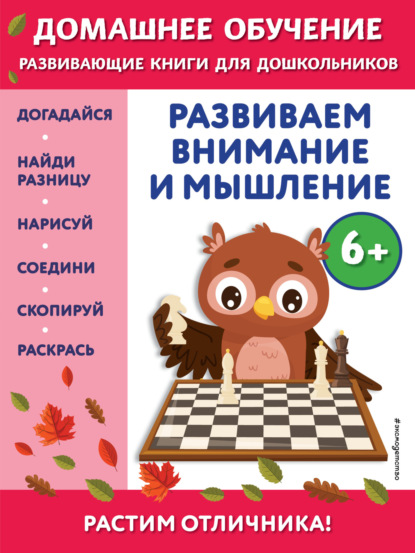 Развиваем внимание и мышление. Для детей от 6 лет — Беркай Динч