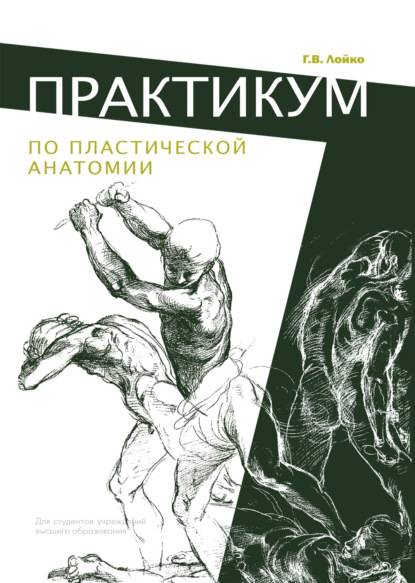 Практикум по пластической анатомии - Г. В. Лойко