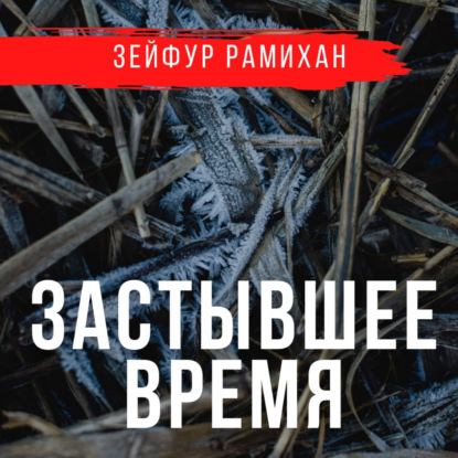 Застывшее время — Зейфур Рамихан