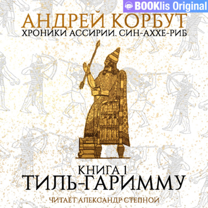 Книга 1. Тиль Гаримму - Андрей Корбут