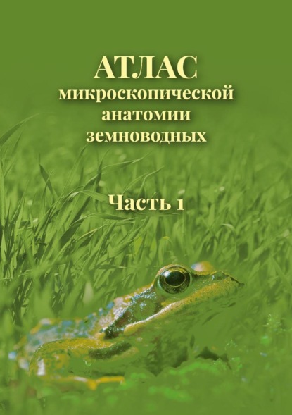 Атлас микроскопической анатомии земноводных. Часть 1 - В. В. Ярцев