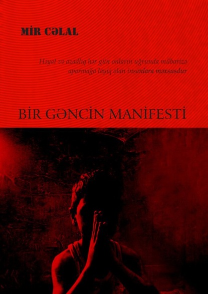 Bir gəncin manifesti — Мир Джалал Пашаев