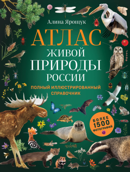 Атлас живой природы России. Полный иллюстрированный справочник - Алина Ярощук