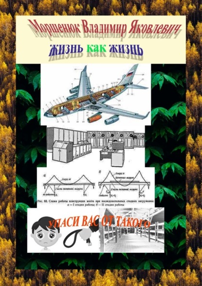 Жизнь как жизнь. Упаси других от такого - Владимир Яковлевич Моршенюк