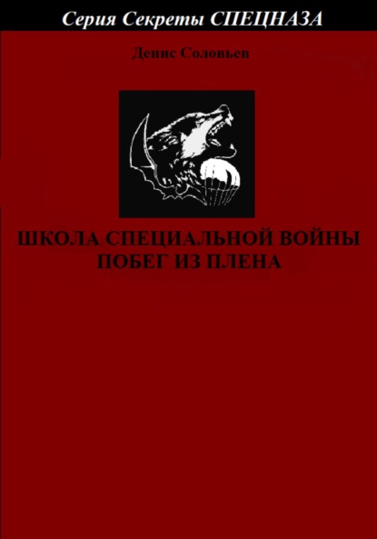 Школа специальной войны. Побег из плена - Денис Юрьевич Соловьев