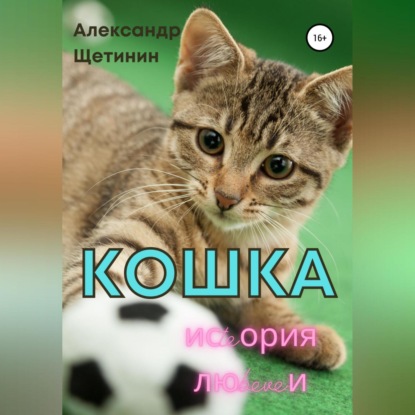 Кошка. История любви — Александр Щетинин