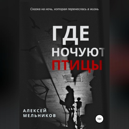 Где ночуют птицы - Алексей Романович Мельников