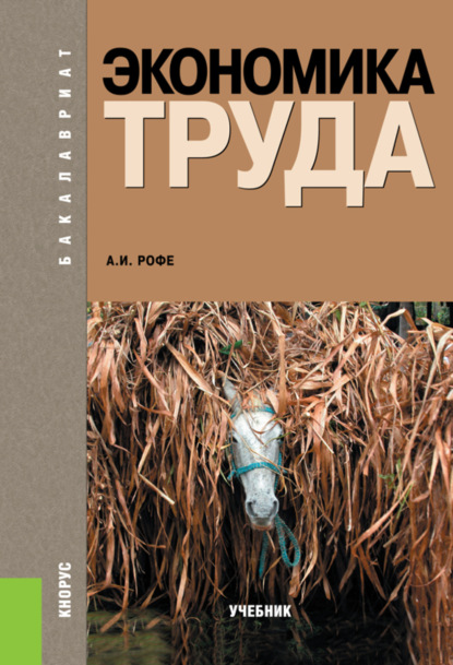 Экономика труда. (Бакалавриат). Учебник. - Александр Иосифович Рофе