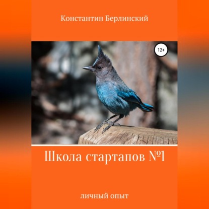 Школа стартапов №1: Личный опыт - Константин Константинович Берлинский