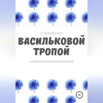 Васильковой тропой — Стребковский