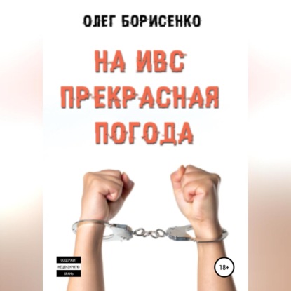 На ИВС прекрасная погода — Олег Анатольевич Борисенко