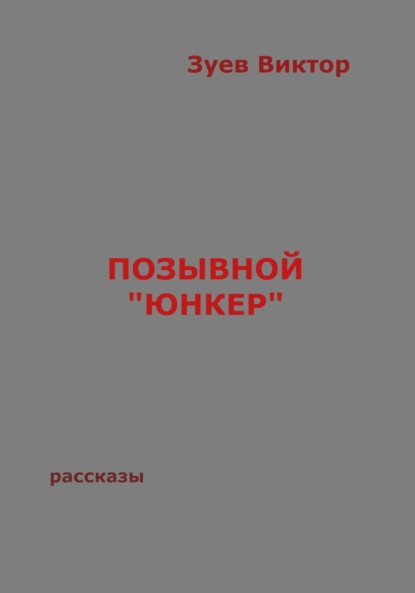 Позывной «Юнкер» — Виктор Иванович Зуев