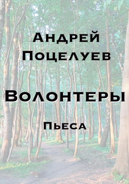 Волонтеры — Андрей Владимирович Поцелуев