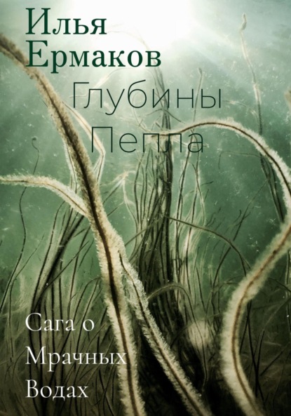 Сага о Мрачных Водах. Глубины Пепла — Илья Сергеевич Ермаков