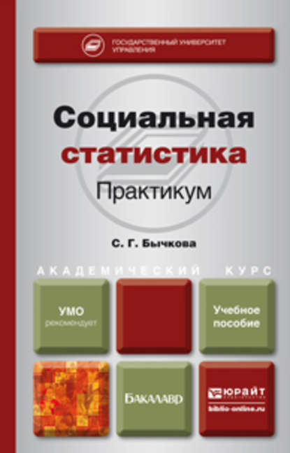 Социальная статистика. Практикум. Учебное пособие для академического бакалавриата - Светлана Георгиевна Бычкова