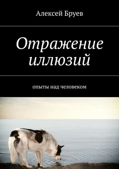 Отражение иллюзий — Алексей Бруев