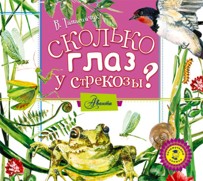 Сколько глаз у стрекозы? - Виталий Танасийчук