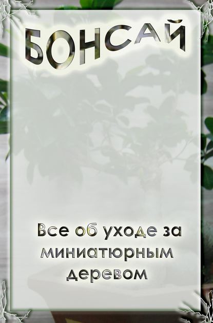 Все об уходе за миниатюрным деревом - Илья Мельников