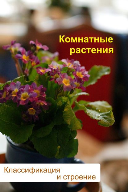 Комнатные растения. Классификация и строение - Илья Мельников