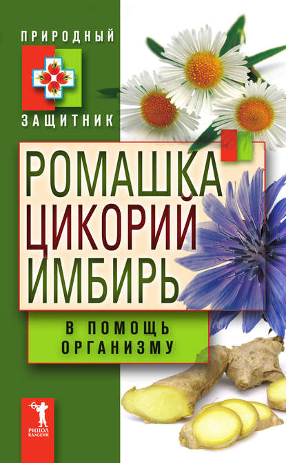 Ромашка, цикорий, имбирь в помощь организму - Группа авторов