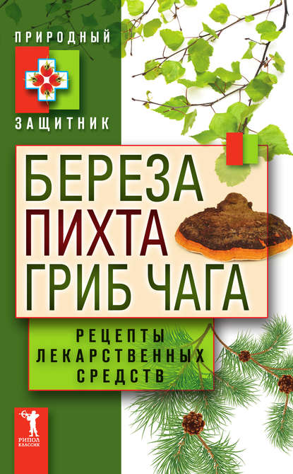 Береза, пихта, гриб чага. Рецепты лекарственных средств — Группа авторов