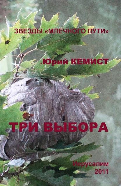 Три выбора — Юрий Кемист