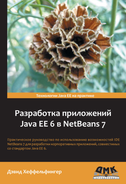 Разработка приложений Java EE 6 в NetBeans 7 — Дэвид Хеффельфингер