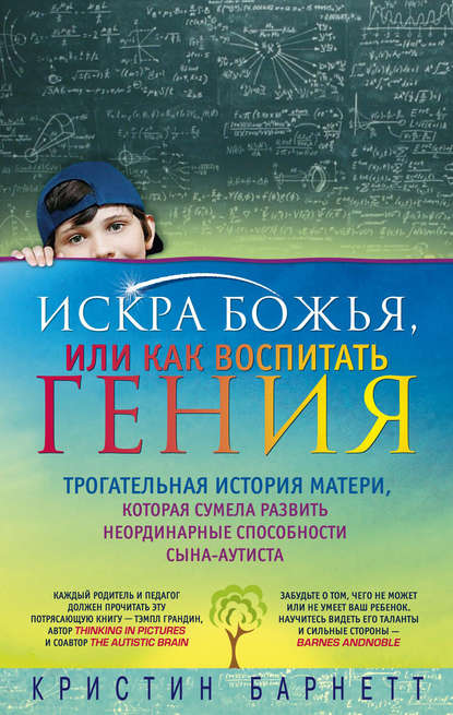 Искра Божья, или Как воспитать гения - Кристин Барнетт