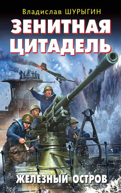 Зенитная цитадель. «Не тронь меня!» - Владислав Шурыгин