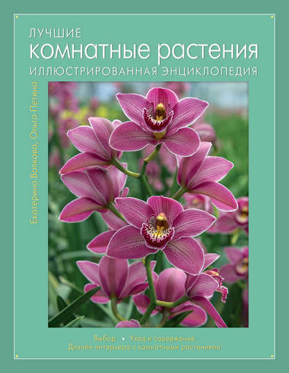 Лучшие комнатные растения. Иллюстрированная энциклопедия - Екатерина Волкова