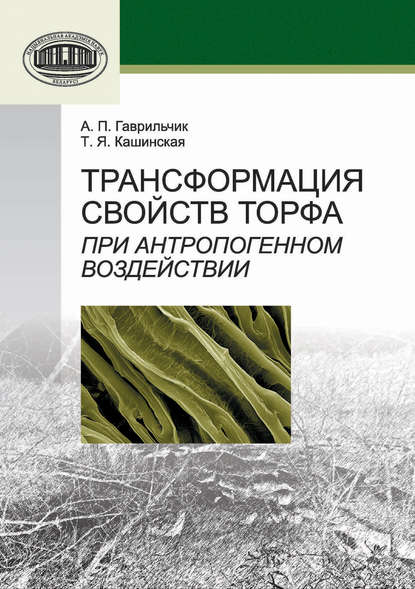 Трансформация свойств торфа при антропогенном воздействии - А. П. Гаврильчик