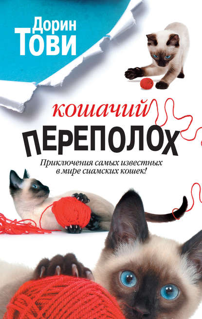 Кошачий переполох (сборник) — Дорин Тови