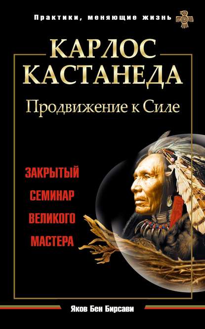 Карлос Кастанеда. Продвижение к Силе. Закрытый семинар великого мастера — Яков Бен Бирсави