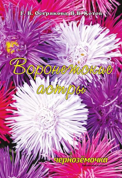 Воронежские астры - В. В. Котов