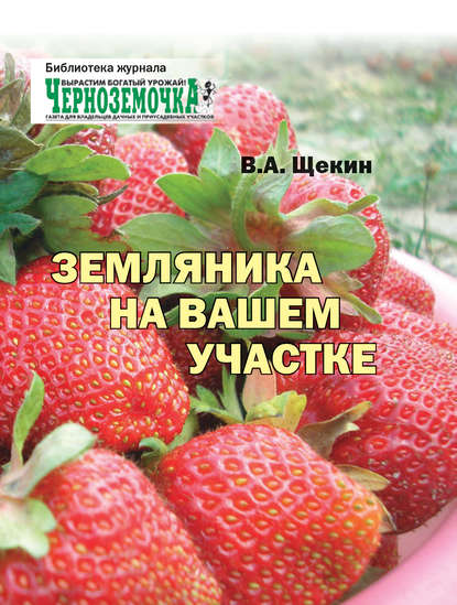 Земляника на вашем участке — В. А. Щекин