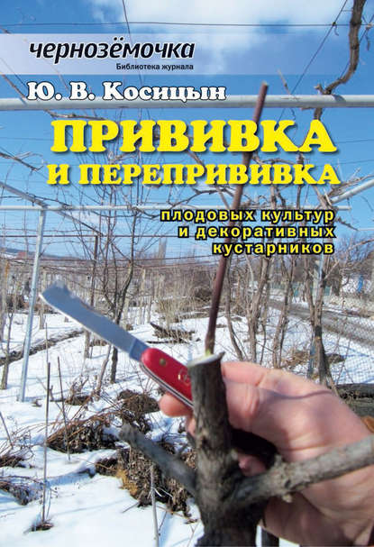 Прививка и перепрививка плодовых культур и декоративных кустарников - Ю. В. Косицын