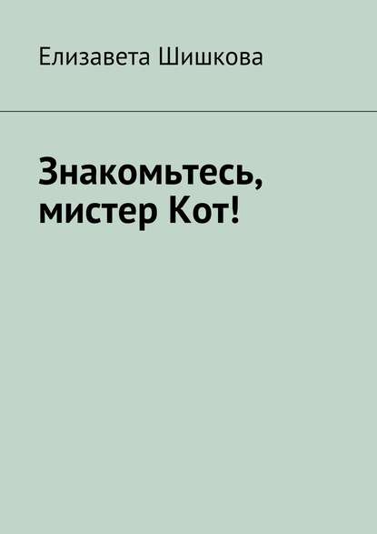 Знакомьтесь, мистер Кот! — Елизавета Шишкова