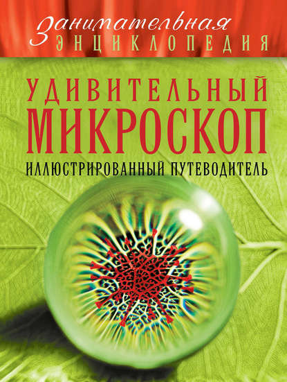 Удивительный микроскоп. Иллюстрированный путеводитель — О. Ч. Мазур