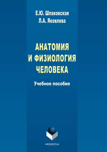 Анатомия и физиология человека — Л. А. Яковлева