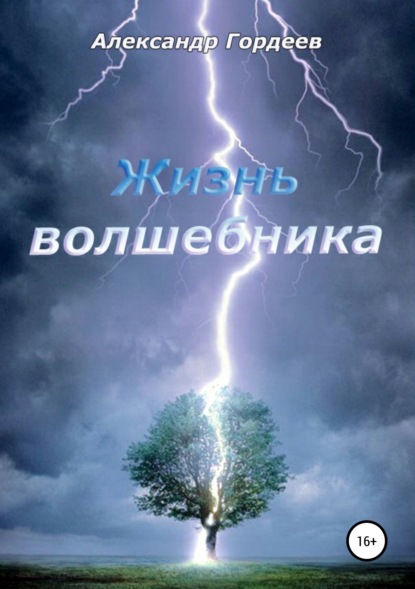 Жизнь волшебника — Александр Гордеев