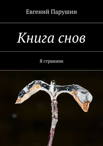 Книга снов — Евгений Парушин