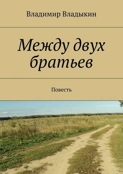 Между двух братьев — Владимир Аполлонович Владыкин