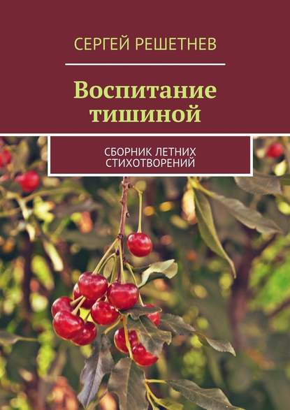 Воспитание тишиной - Сергей Решетнёв