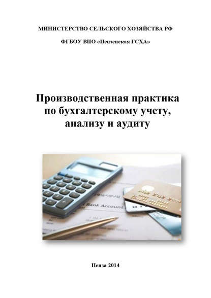 Производственная практика по бухгалтерскому учету, анализу и аудиту - Н. Н. Бондина