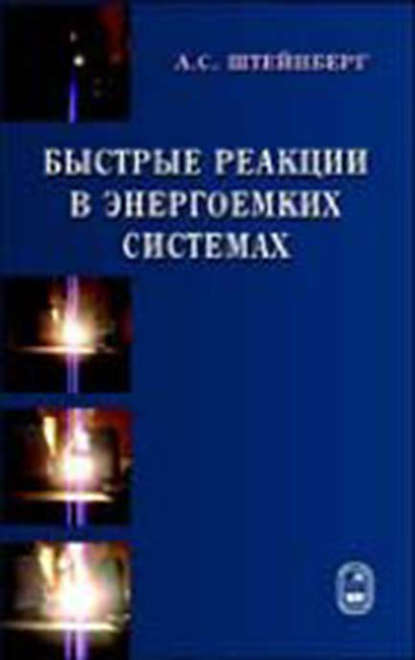 Быстрые реакции в энергоемких системах. Высокотемпературное разложение ракетных топлив и взрывчатых веществ - Александр Штейнберг