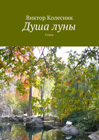 Душа луны - Виктор Колесник